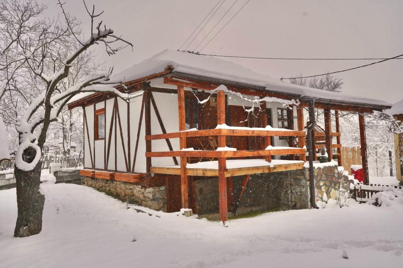 Mitrovic Apartment Boljevac Exterior photo