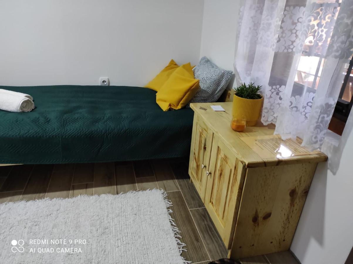 Mitrovic Apartment Boljevac Exterior photo