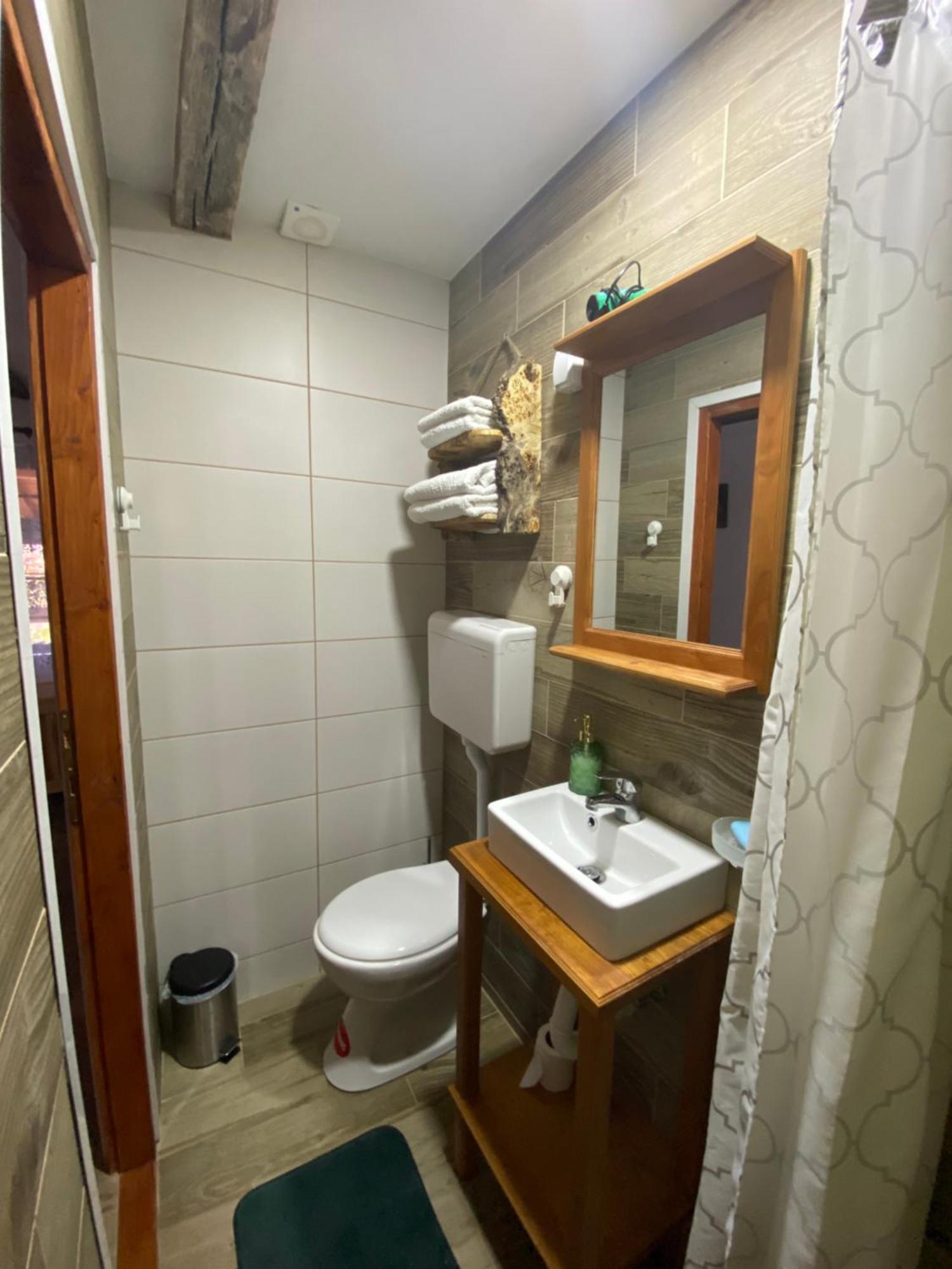Mitrovic Apartment Boljevac Exterior photo